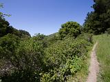 Tilden Regional Park 001